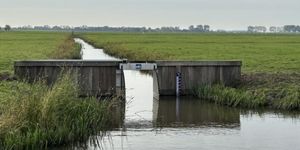 Natuur